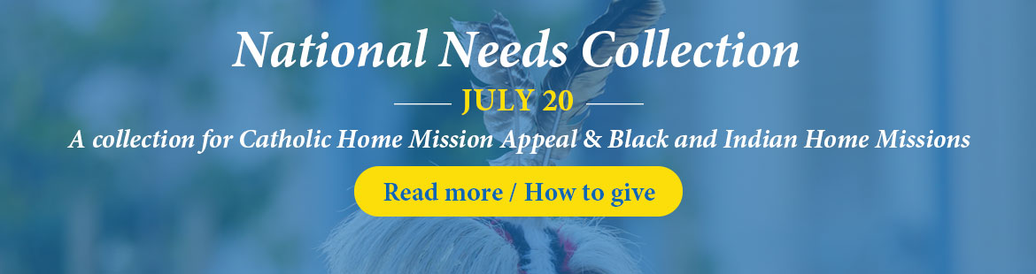 National Needs Collection