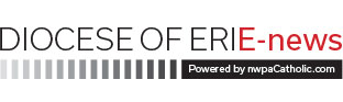 E-news logo