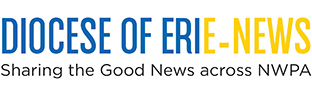 E-news logo